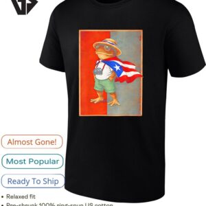 Coqui Frog Puerto Rico Flag Puerto Rican Taino Boricua Funny T-Shirt