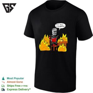 Tis Is Fine But A Scratch T-Shirt