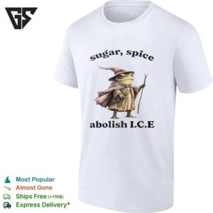 Wizard Frog Sugar Spice Abolish Ice 2026 T-Shirt