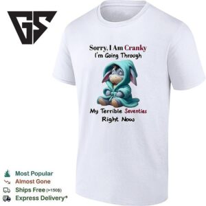 Eeyore Sorry I Am Cranky I’m Going Through My Terrible Seventies Right Now T-Shirt