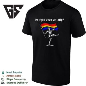 Ist Thou Even An Ally Knight Pride Flag T-Shirt